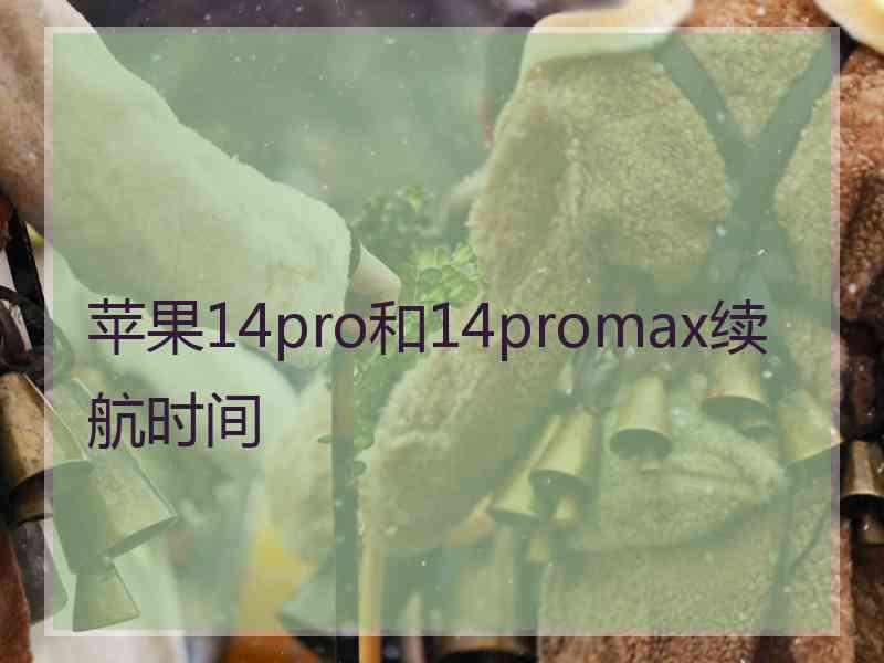 苹果14pro和14promax续航时间