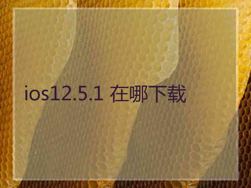 ios12.5.1 在哪下载