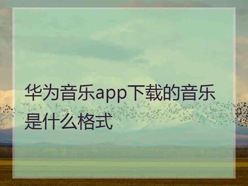 华为音乐app下载的音乐是什么格式