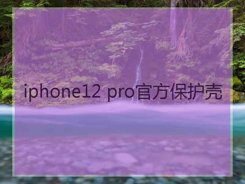 iphone12 pro官方保护壳