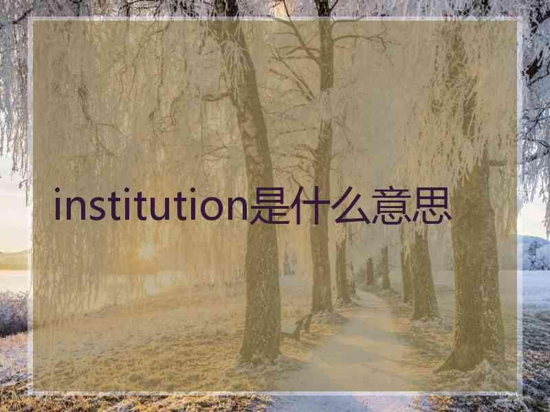 institution是什么意思