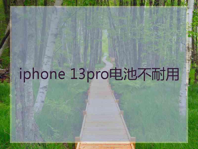 iphone 13pro电池不耐用