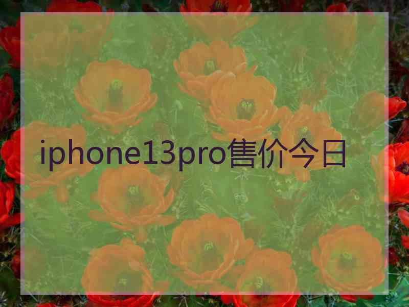 iphone13pro售价今日