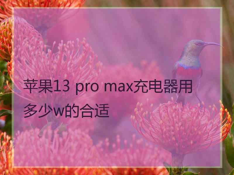 苹果13 pro max充电器用多少w的合适