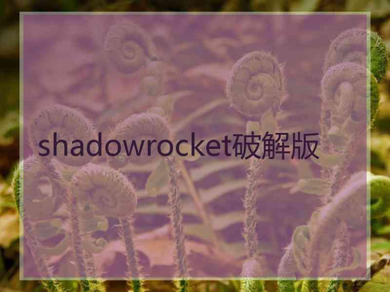 shadowrocket破解版