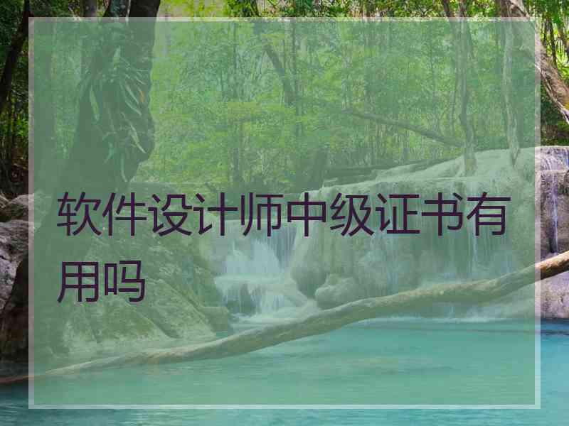 软件设计师中级证书有用吗