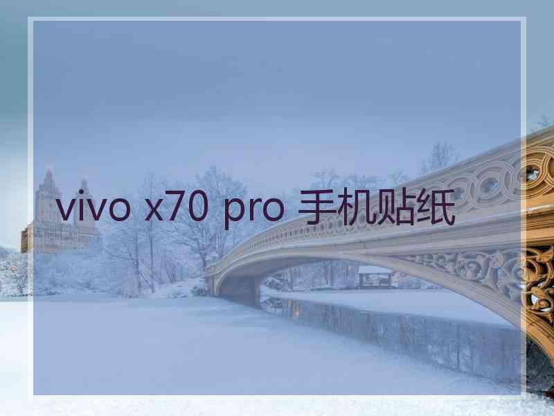 vivo x70 pro 手机贴纸