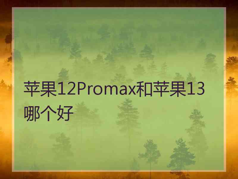 苹果12Promax和苹果13哪个好