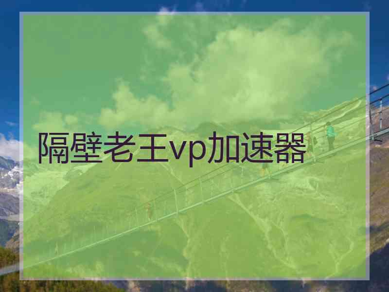 隔壁老王vp加速器