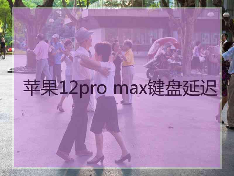 苹果12pro max键盘延迟