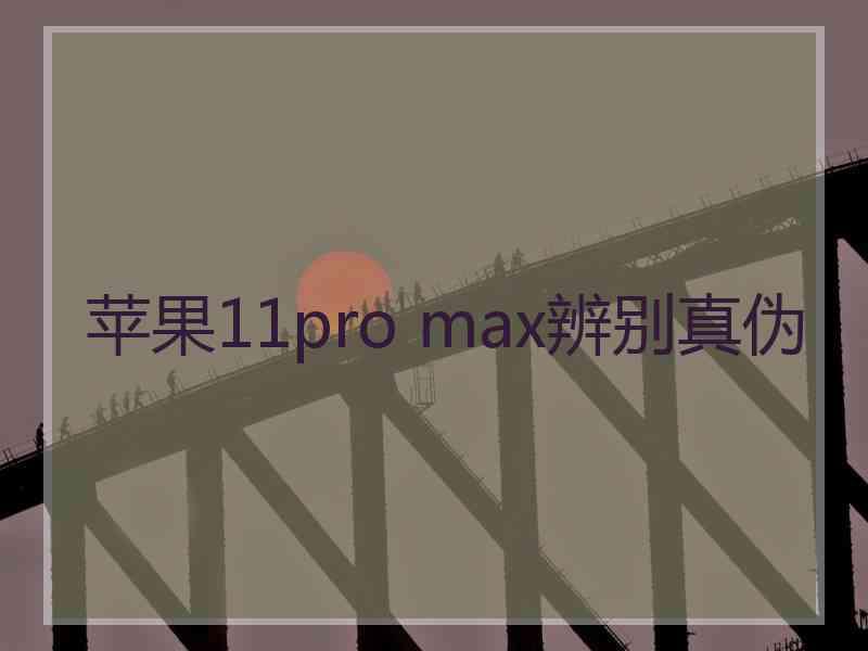 苹果11pro max辨别真伪