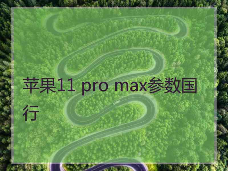 苹果11 pro max参数国行