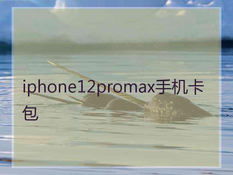 iphone12promax手机卡包