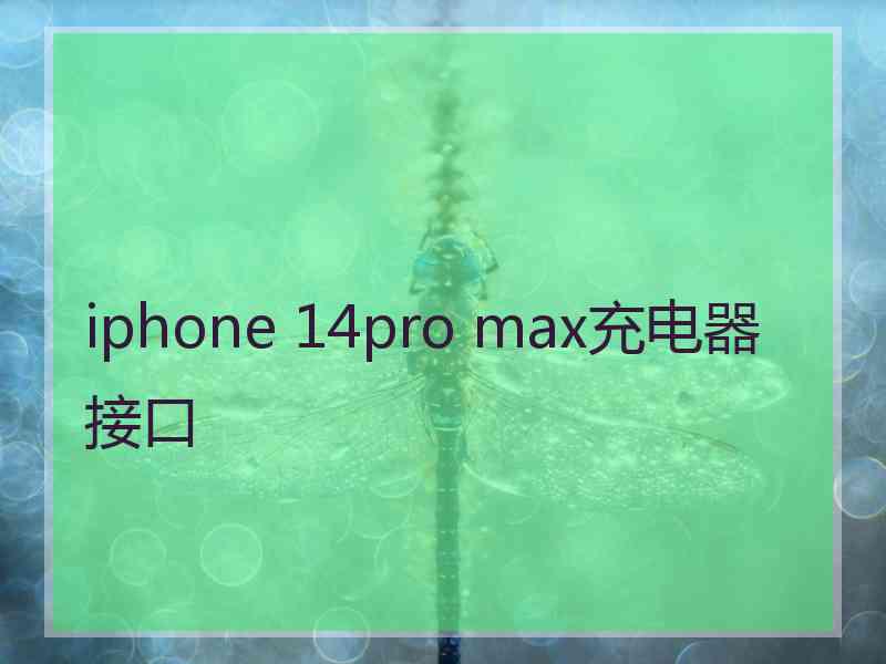 iphone 14pro max充电器接口