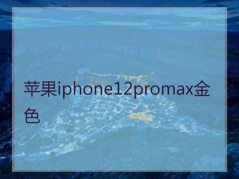 苹果iphone12promax金色