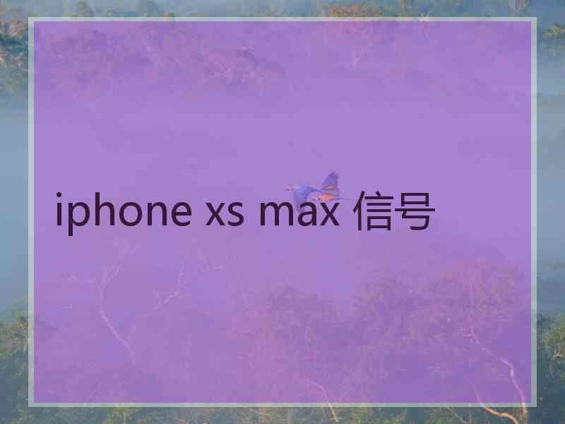 iphone xs max 信号