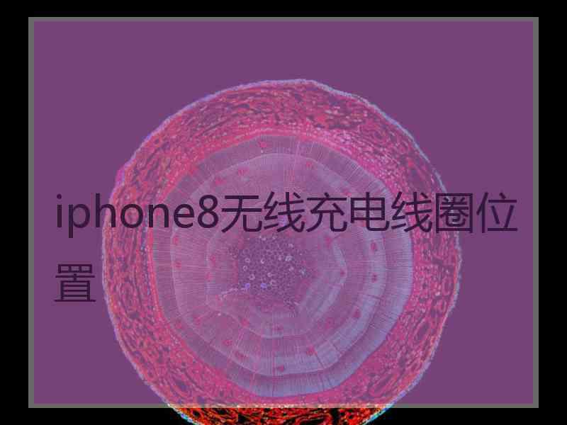 iphone8无线充电线圈位置