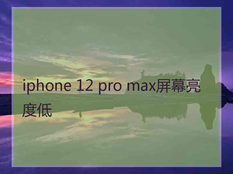 iphone 12 pro max屏幕亮度低