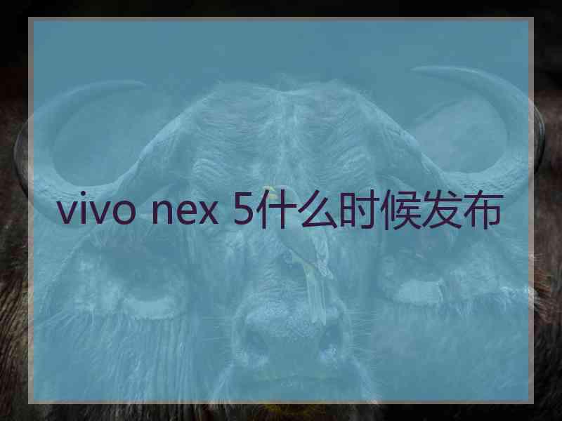 vivo nex 5什么时候发布