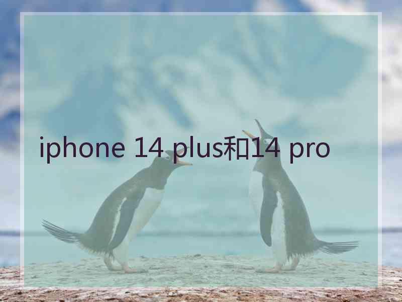 iphone 14 plus和14 pro