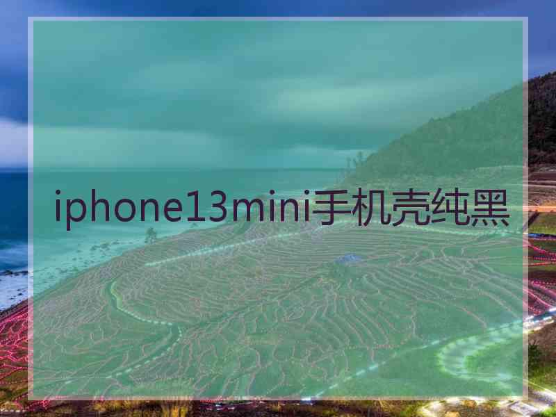 iphone13mini手机壳纯黑