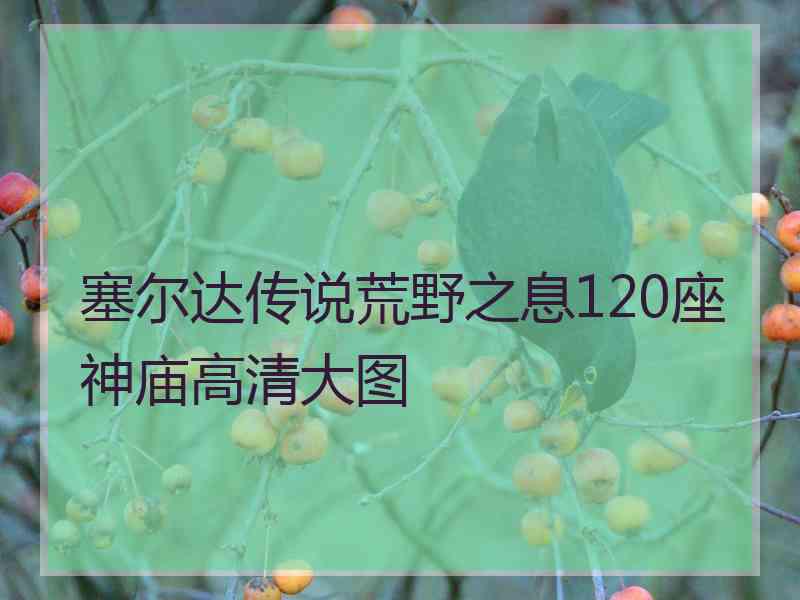 塞尔达传说荒野之息120座神庙高清大图