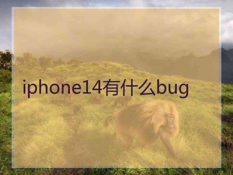 iphone14有什么bug