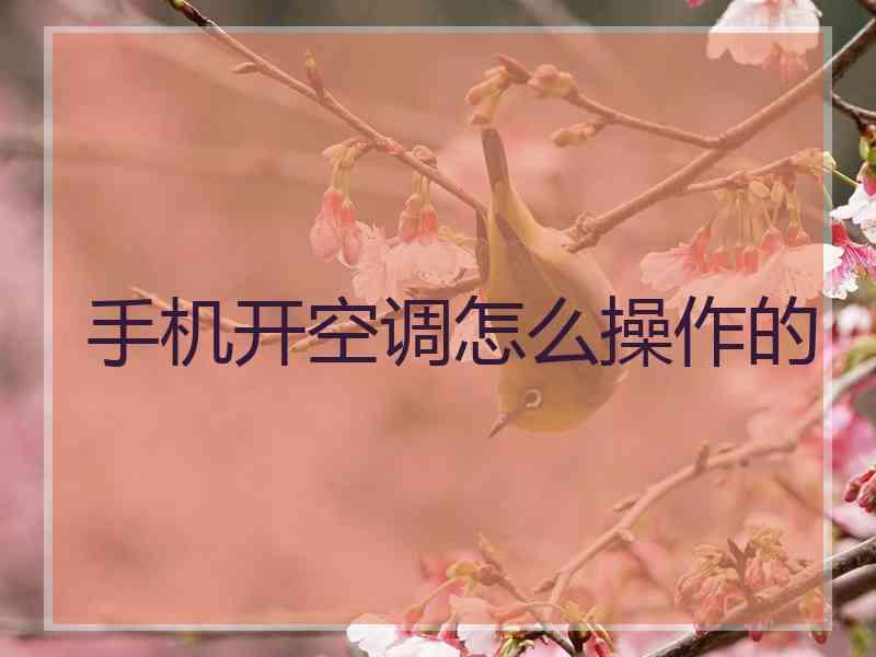 手机开空调怎么操作的