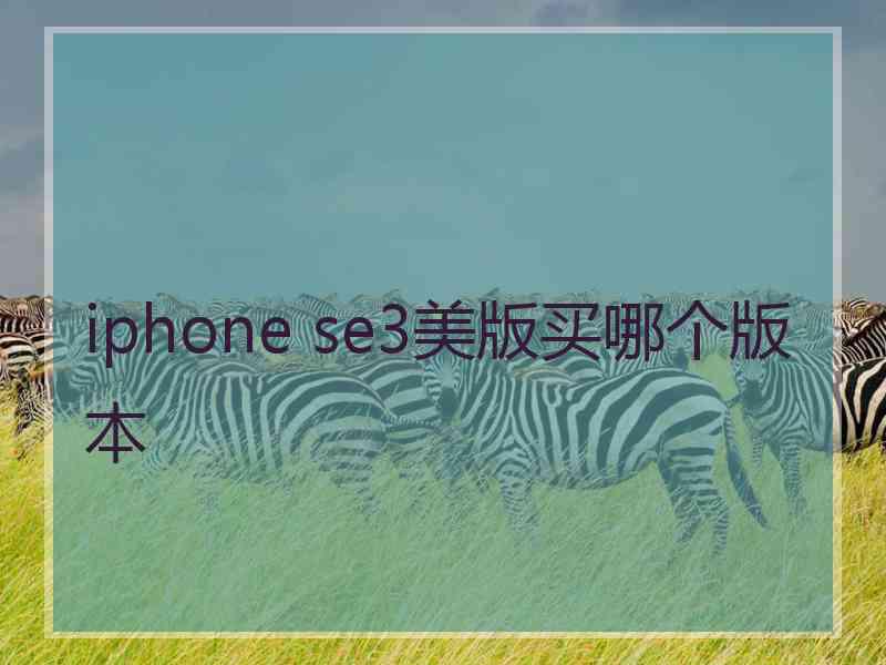 iphone se3美版买哪个版本