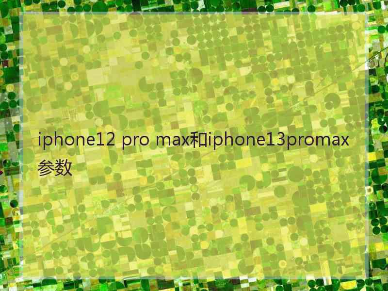 iphone12 pro max和iphone13promax参数