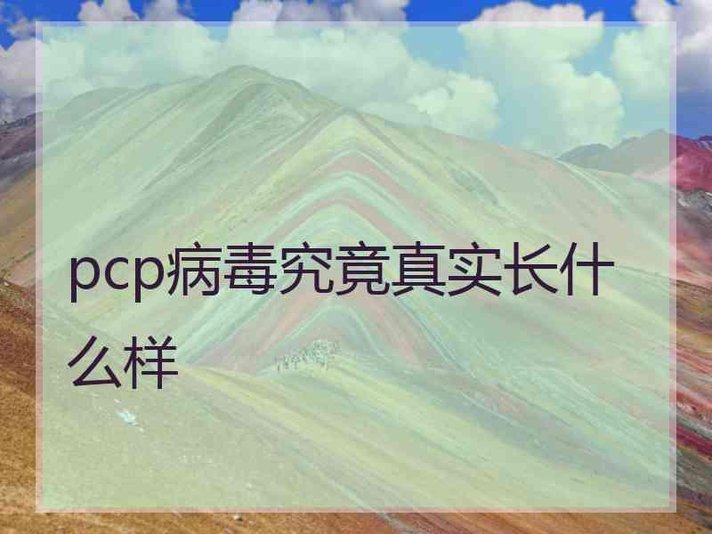 pcp病毒究竟真实长什么样