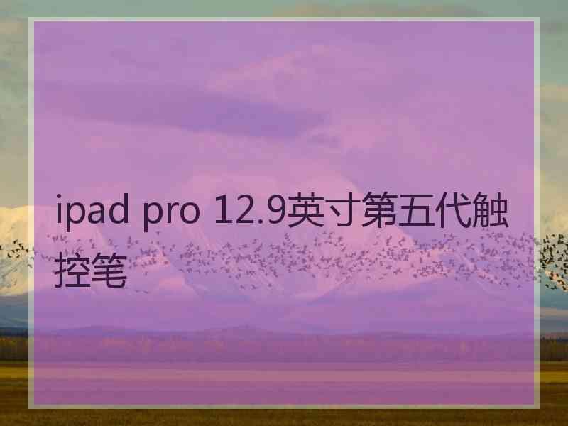 ipad pro 12.9英寸第五代触控笔