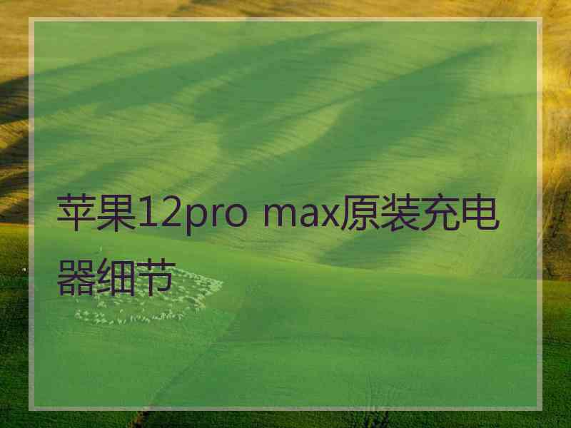 苹果12pro max原装充电器细节