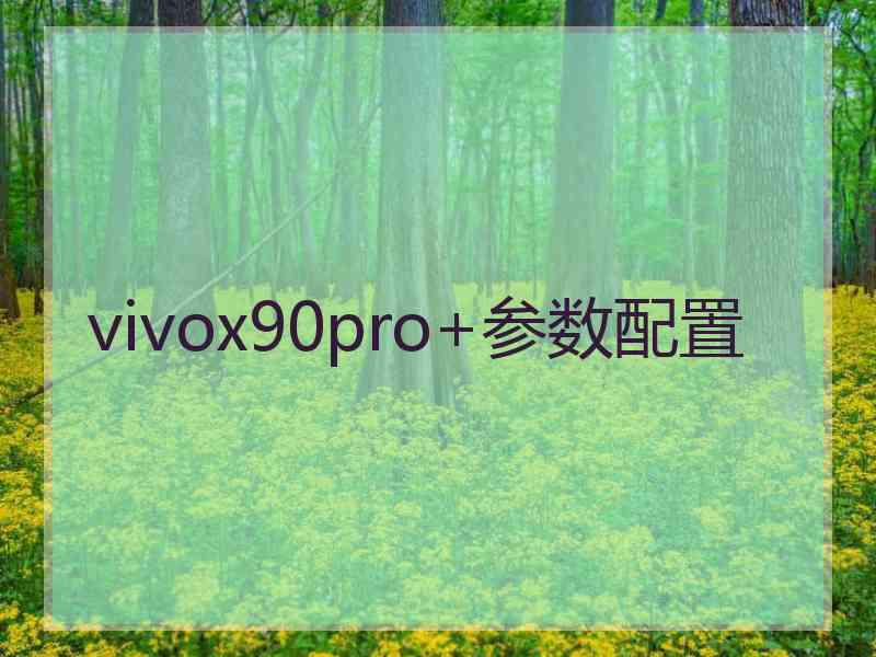 vivox90pro+参数配置