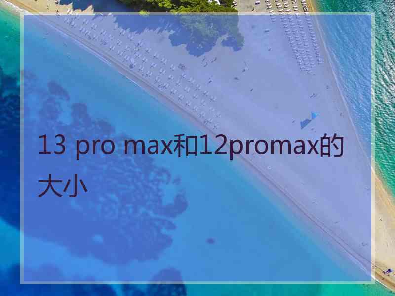 13 pro max和12promax的大小