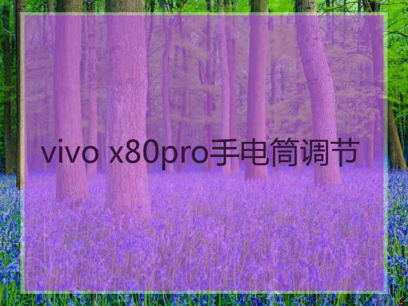 vivo x80pro手电筒调节