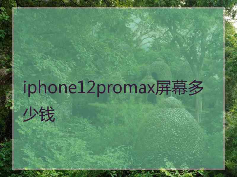 iphone12promax屏幕多少钱