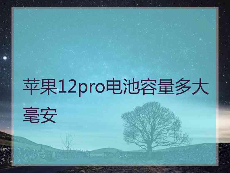 苹果12pro电池容量多大毫安