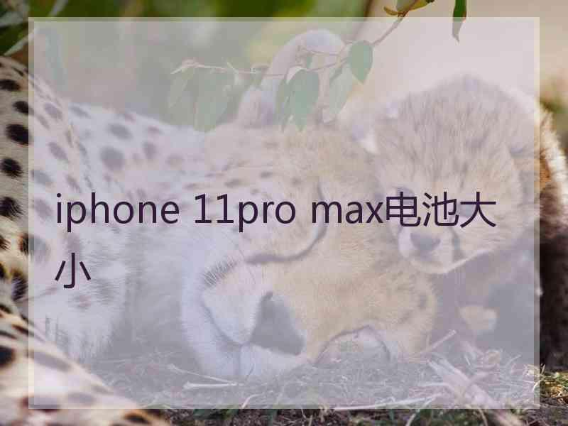 iphone 11pro max电池大小