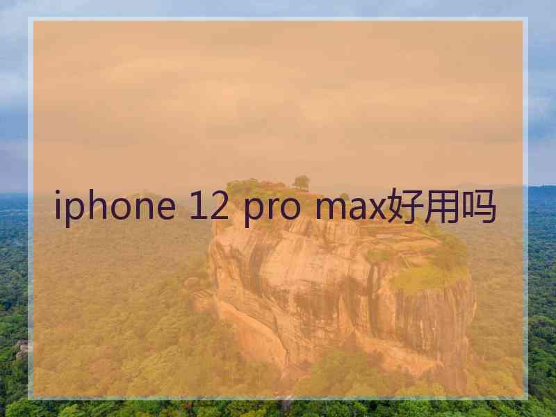 iphone 12 pro max好用吗