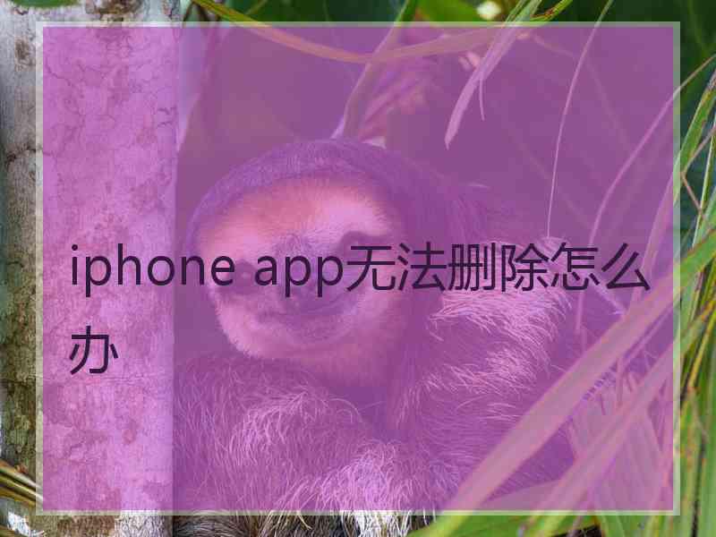 iphone app无法删除怎么办