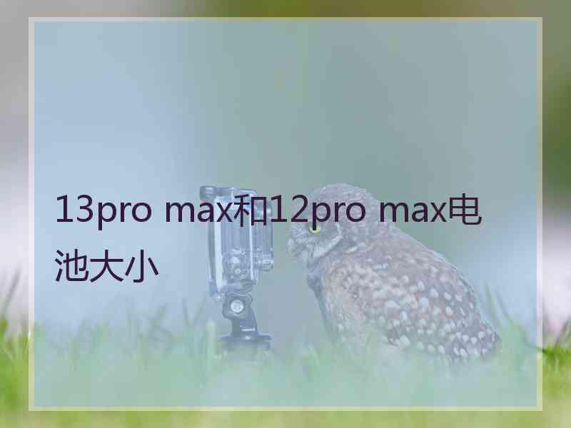 13pro max和12pro max电池大小