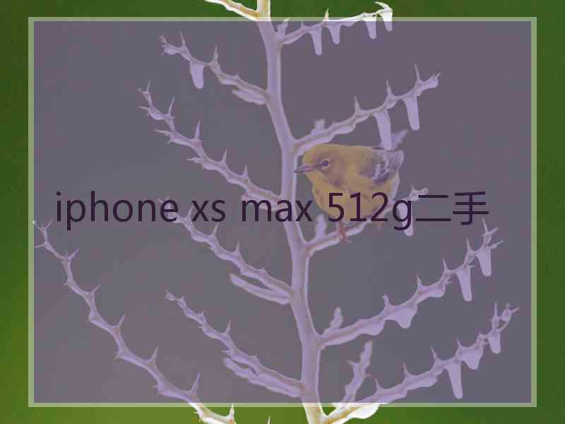 iphone xs max 512g二手