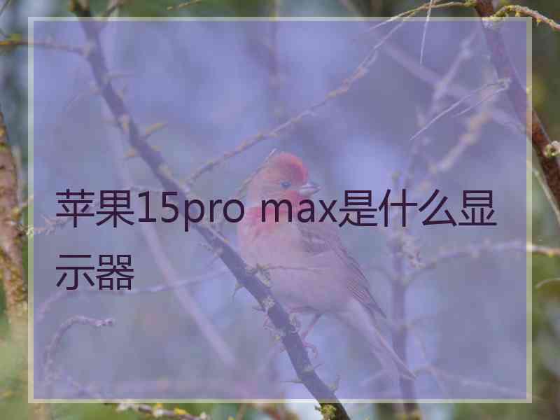 苹果15pro max是什么显示器