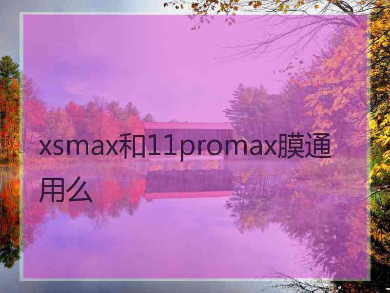 xsmax和11promax膜通用么