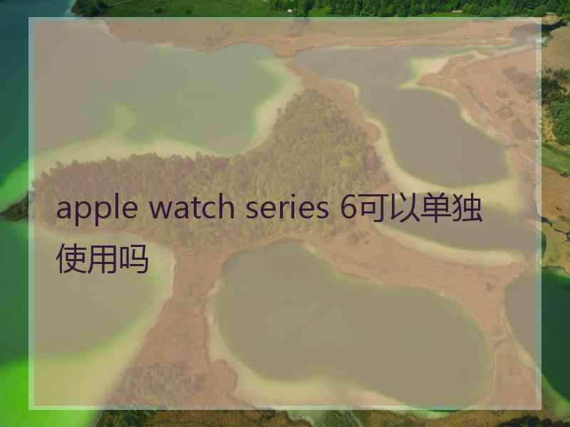 apple watch series 6可以单独使用吗