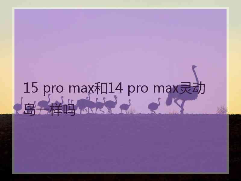 15 pro max和14 pro max灵动岛一样吗