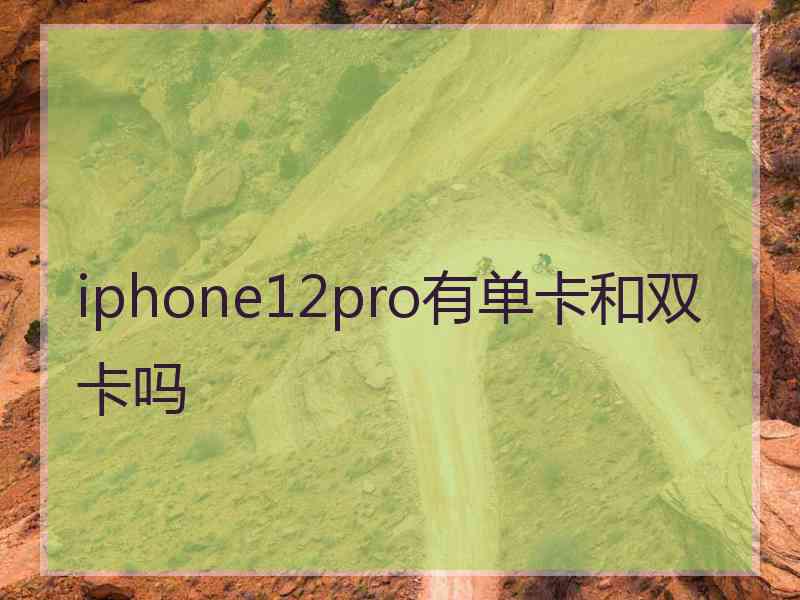 iphone12pro有单卡和双卡吗