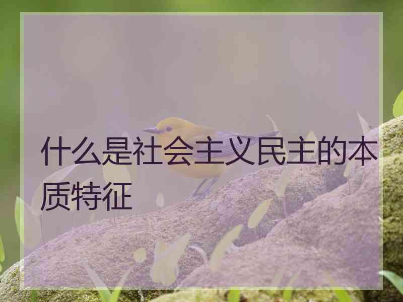 什么是社会主义民主的本质特征