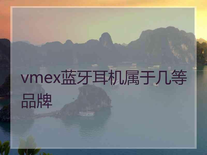 vmex蓝牙耳机属于几等品牌